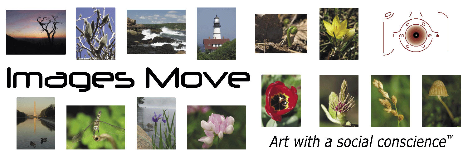 Images Move - Art with a Social Conscience™